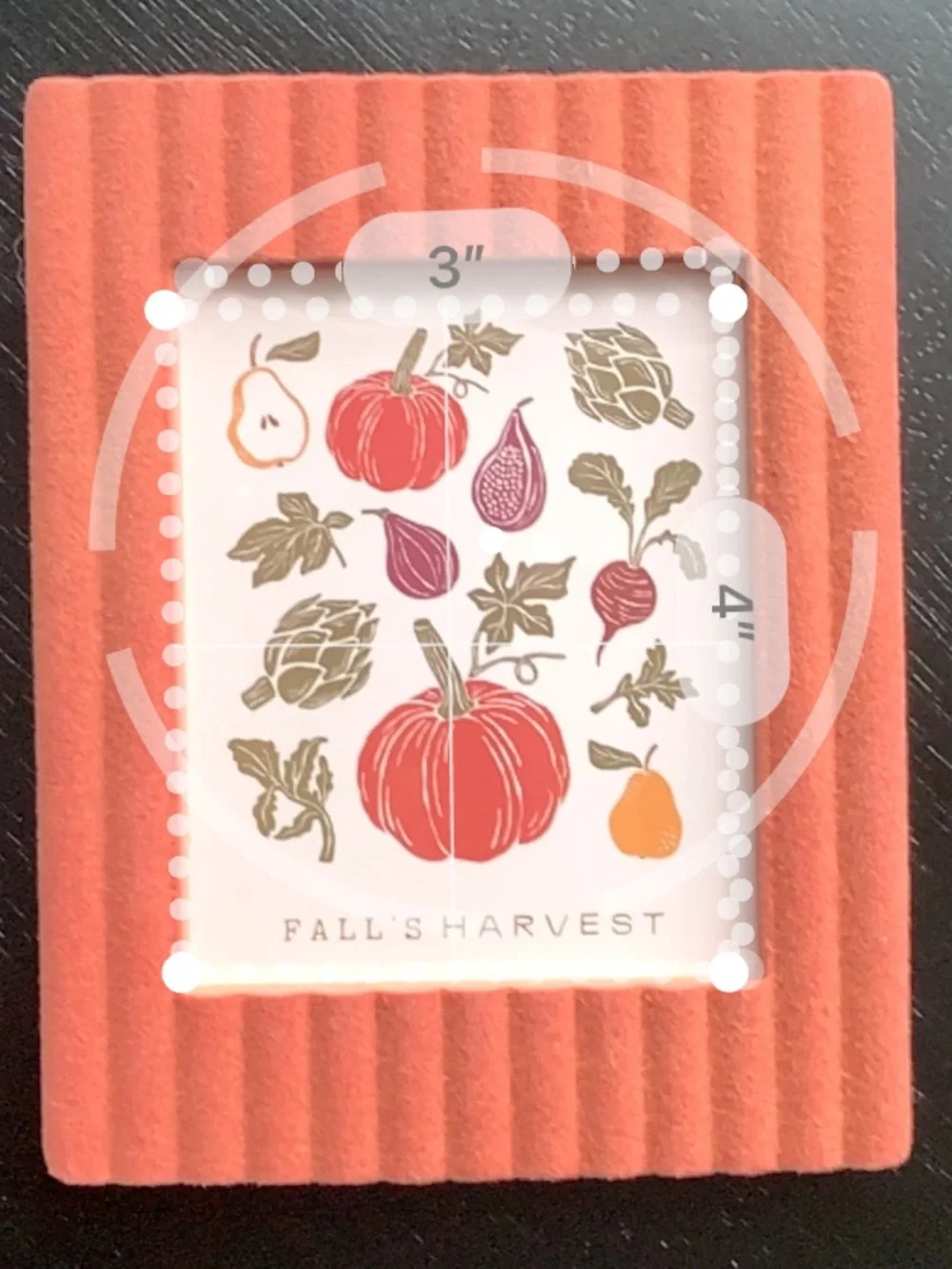 Coral Ridged Velvet Photo Frame Fall Decor